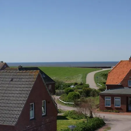 Stranddistel, Haus Meeresgruss